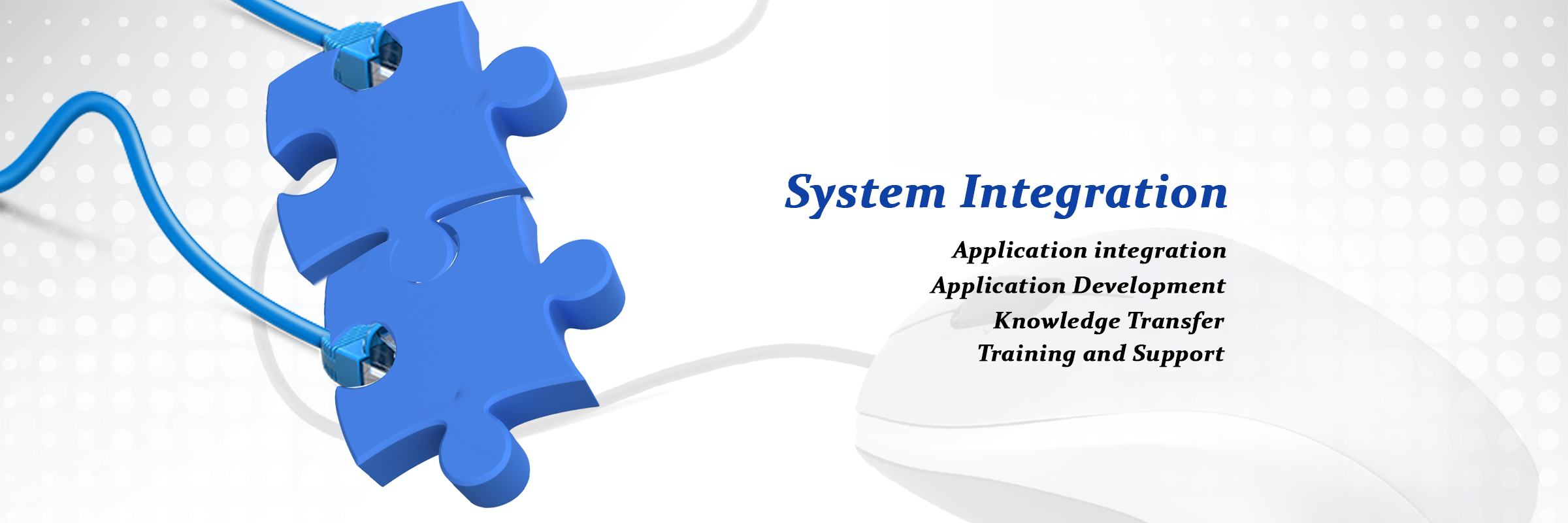 Read more about the article System Integration